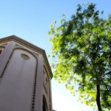 2505F 022 Leer 360 Grad